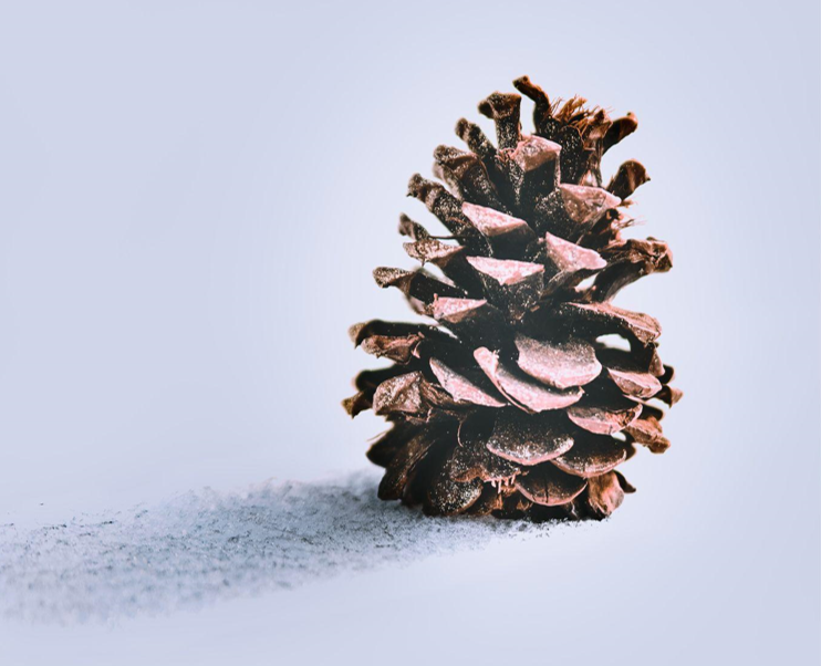 Flocked Artificial Christmas Trees: A Timeless Addition to Your Holiday Decor