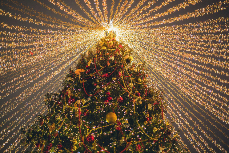 Artificial Christmas Trees: Giving a Chance for a Healthy Future